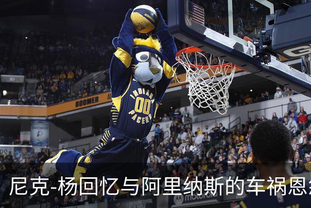 尼克-杨回忆与阿里纳斯的车祸恩怨：我用他的卡消费近4万
